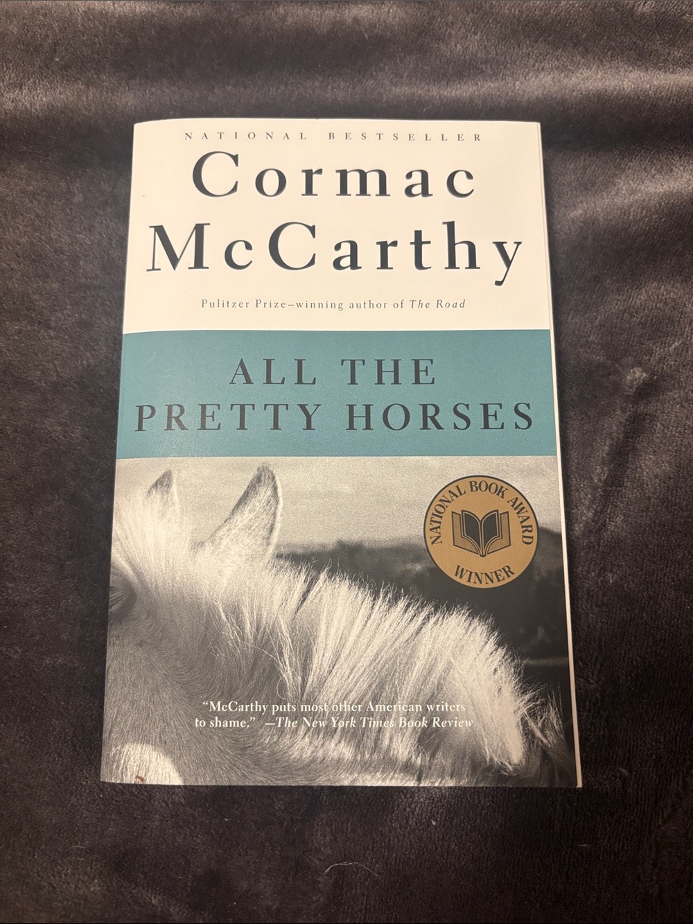 cormac mccarthys all the pretty horses